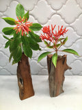 Stem Vases